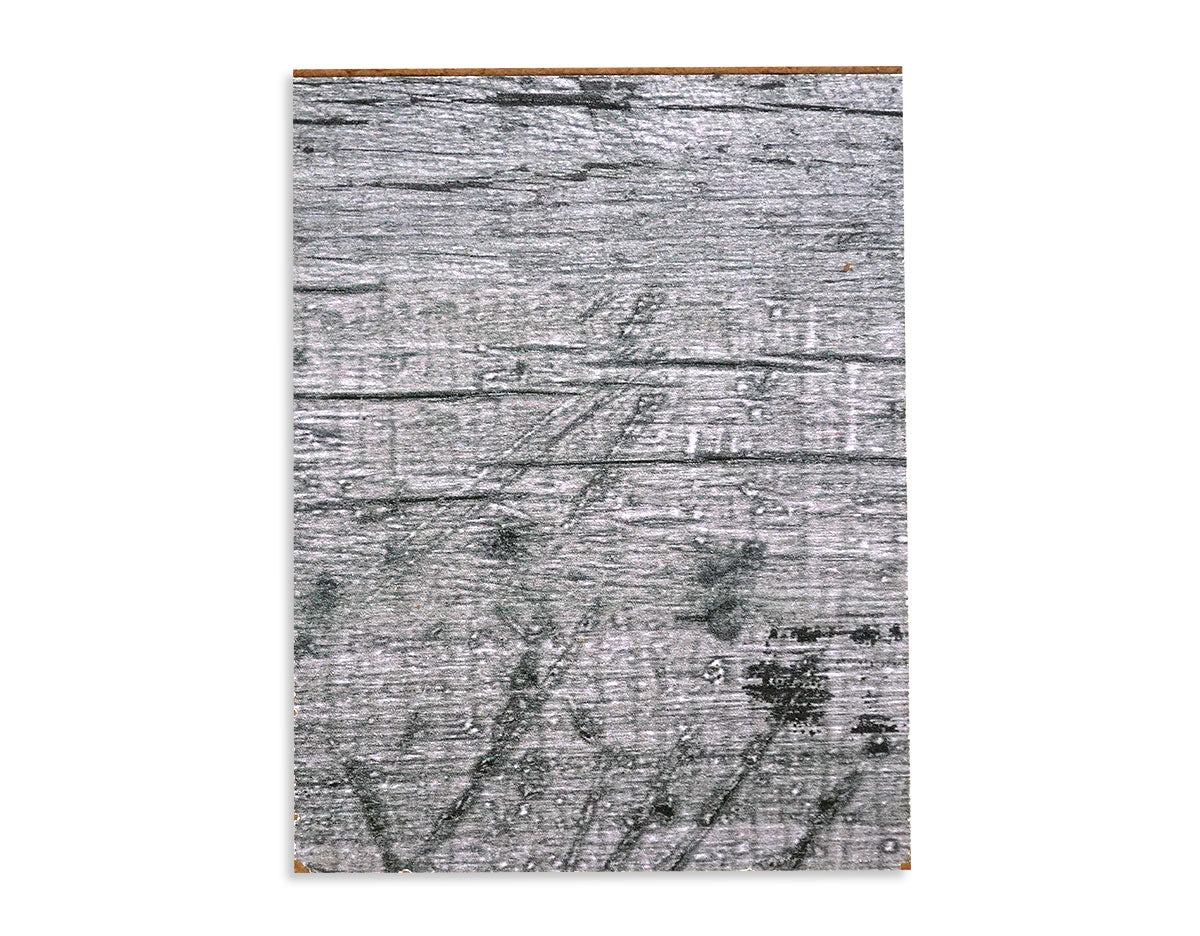 Odyssey Reclaimed Print Peel & Stick Wood Wallplanks™ 6" Individual Sample - Athena Grey - Wallplanks
