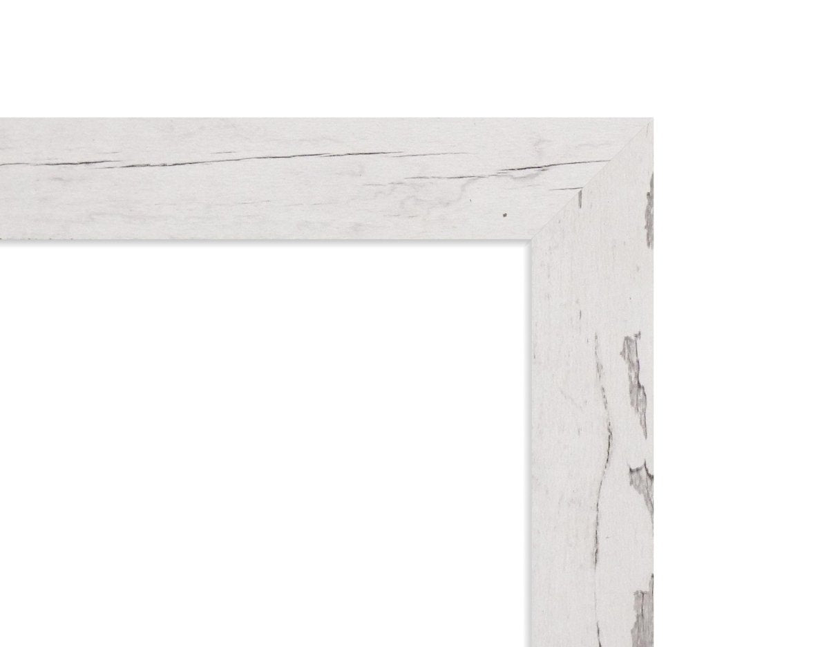 Odyssey Reclaimed Print Peel & Stick Wood Wallplanks™ Trims - Juno White Wash - Wallplanks