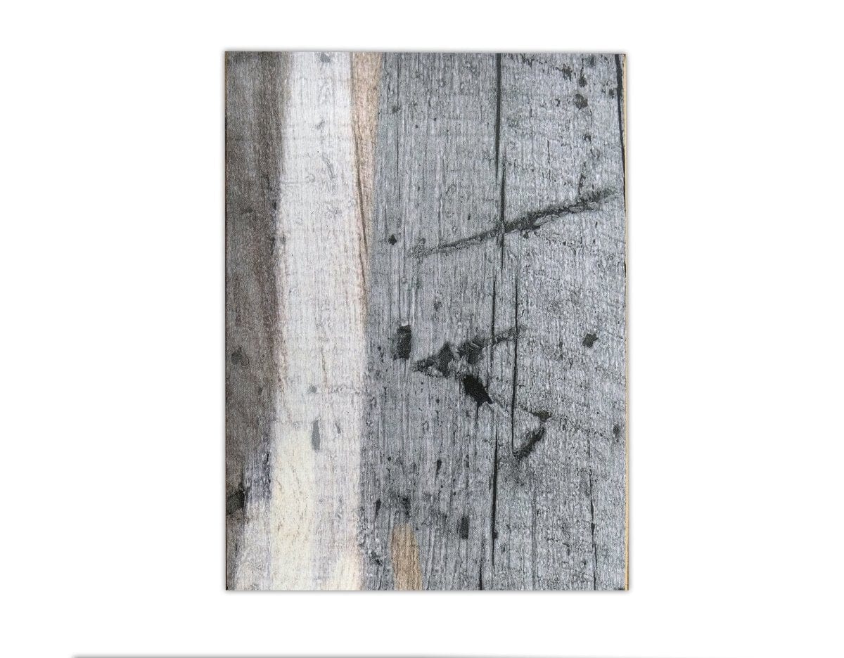 HDFPRINTRE-ROAG-6X5SAMPLE Wallplanks Reclaimed Odyssey Sample 6" X 5" Reclaimed Odyssey: Athena Grey