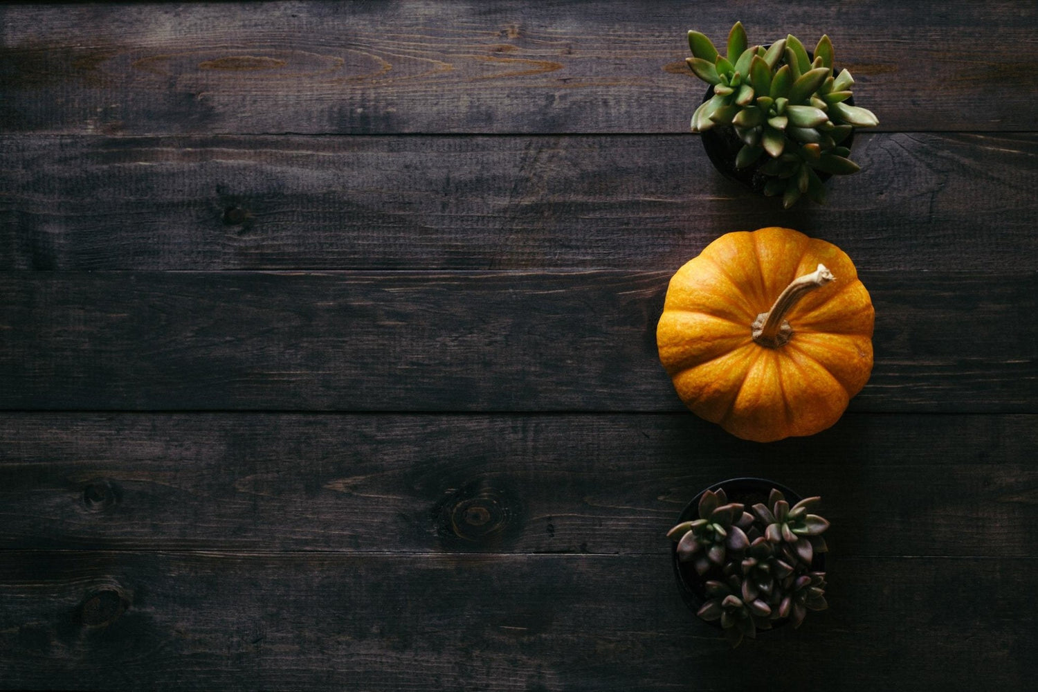 Avoid These Mistakes When Upgrading Your Home This Fall - Wallplanks