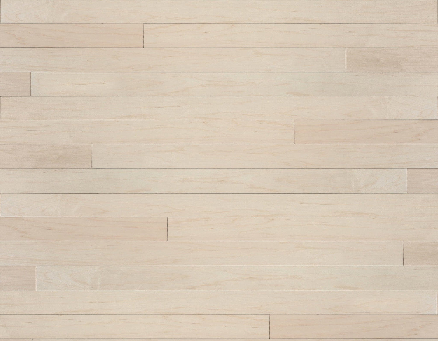 20X30DISSAM-16 Wallplanks 20x30 Samples Unfinished Raw Maple 20&quot; X 30&quot; Originals Display Sample