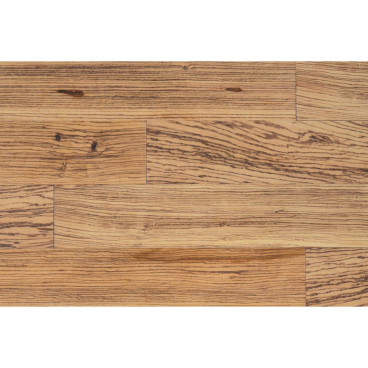 Wallplanks 20x30 Samples 20" X 30" Originals Display Sample