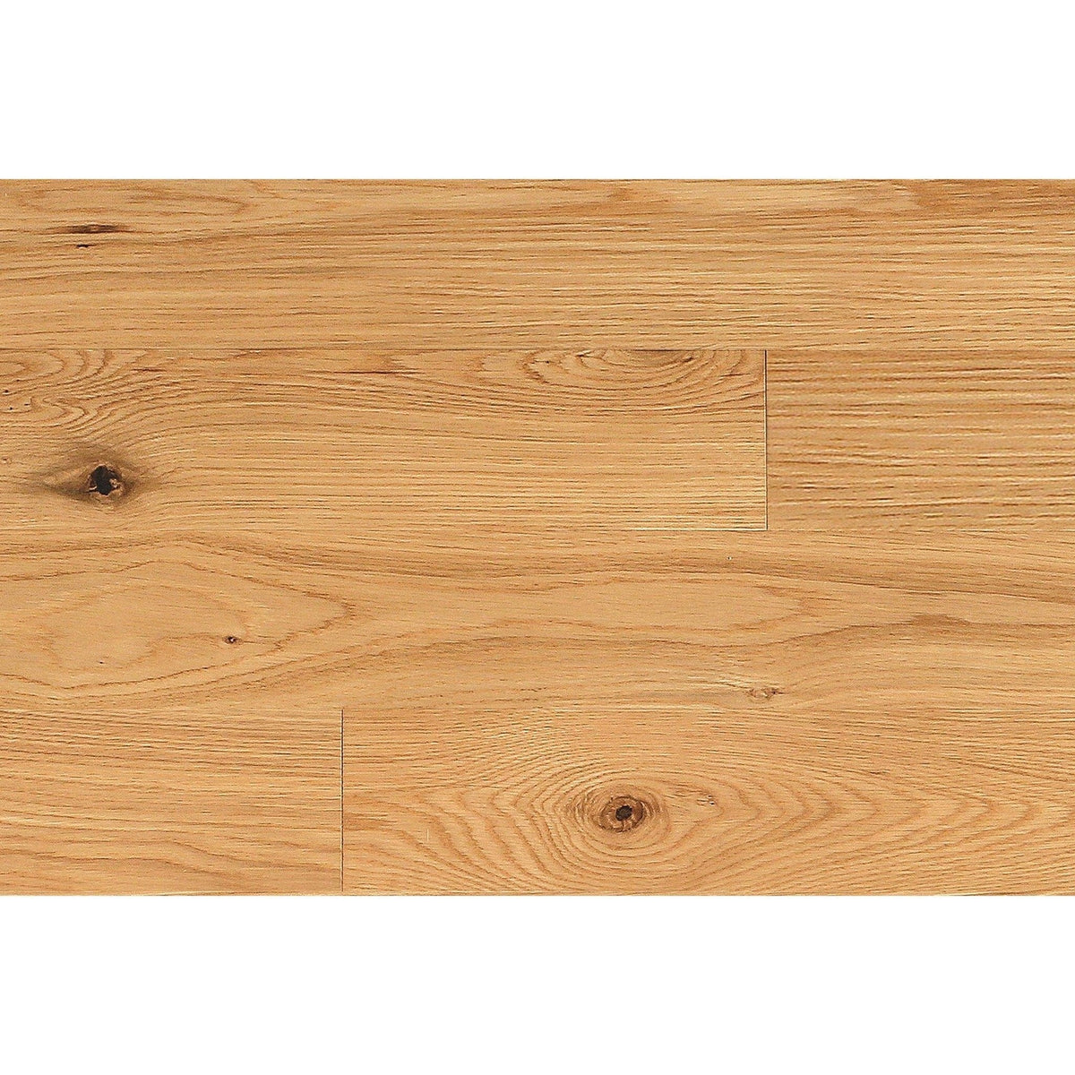 Wallplanks 20x30 Samples 20" X 30" Originals Display Sample