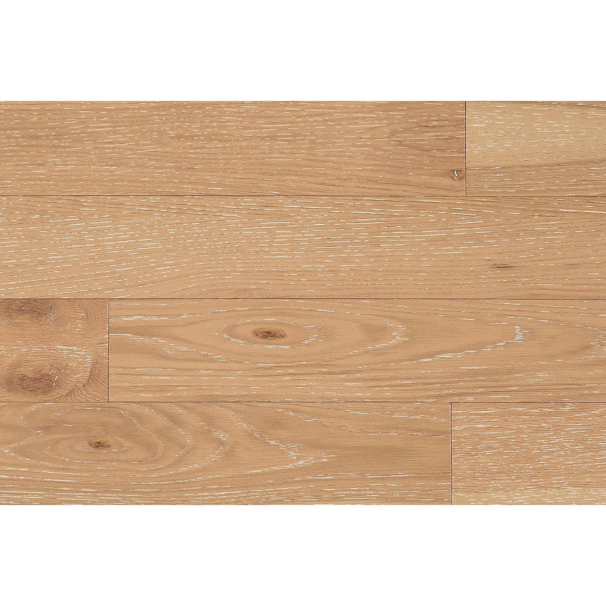 20X30DISSAM-10 Wallplanks 20x30 Samples Biscuit 20" X 30" Originals Display Sample