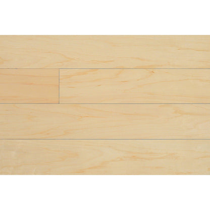 20X30DISSAM-6 Wallplanks 20x30 Samples Maple 20&quot; X 30&quot; Originals Display Sample