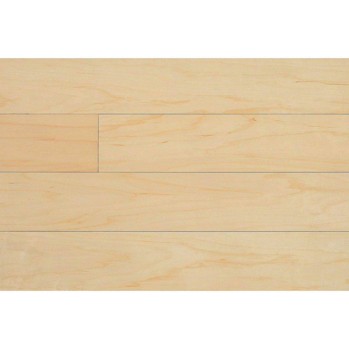 20X30DISSAM-6 Wallplanks 20x30 Samples Maple 20" X 30" Originals Display Sample