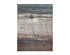Odyssey Reclaimed Print Peel & Stick Wood Wallplanks™ 6" Individual Sample - Apollo Brown - Wallplanks