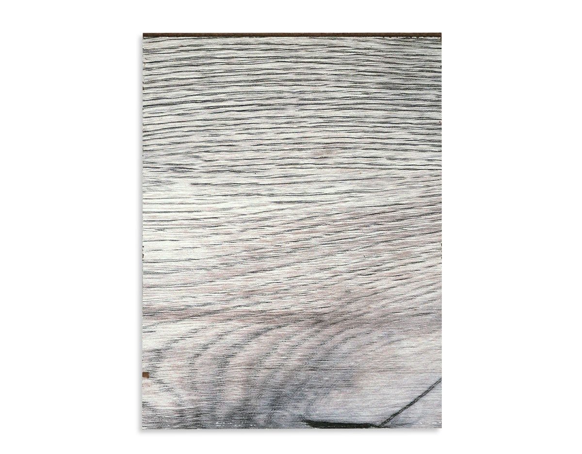 Odyssey Reclaimed Print Peel &amp; Stick Wood Wallplanks™ 6&quot; Individual Sample - Mercury Greywash - Wallplanks